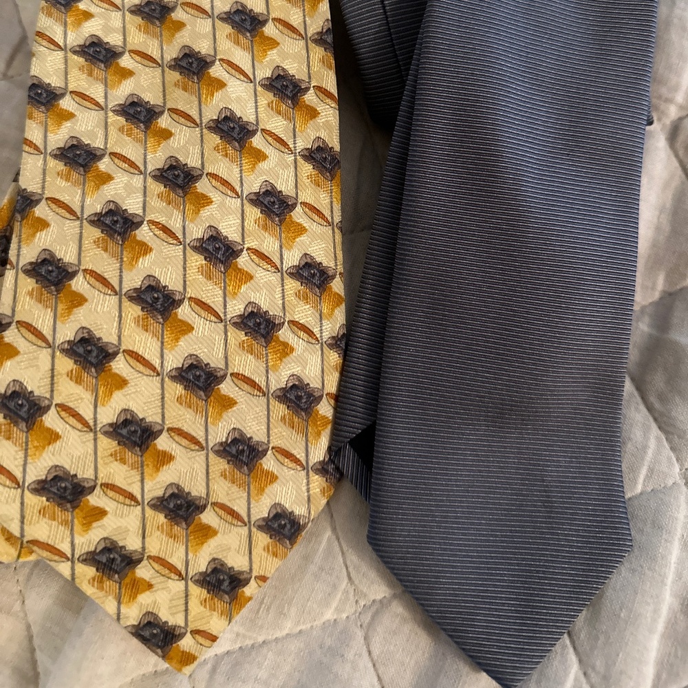 Zegna and Boss Designer Ties